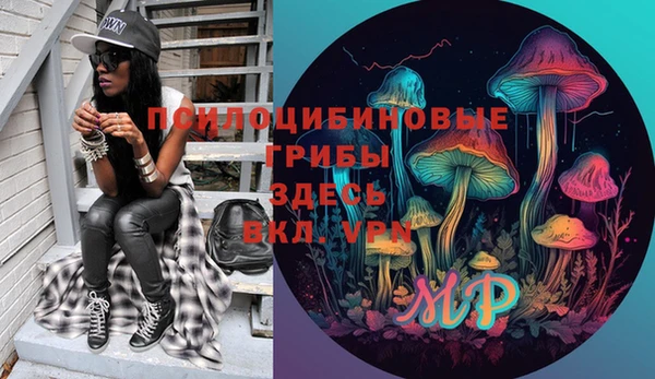 ГАЛЛЮЦИНОГЕННЫЕ ГРИБЫ Балабаново