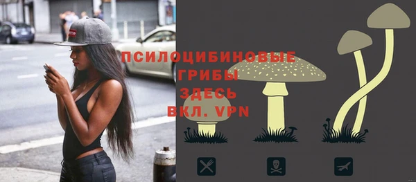 apvp Покровск