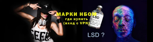 PSILOCYBIN Балахна