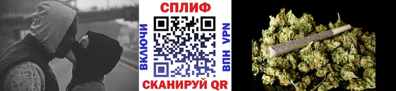Конопля сатива  Красноперекопск 